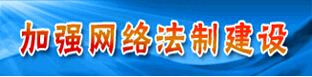 ǿ編ƽ