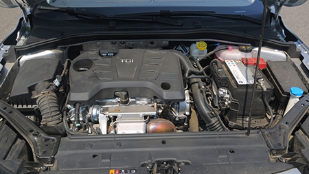 7f4d-fypathz6712915.jpg